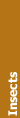 Insects