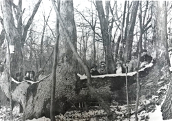 line tree, marker tree, washington valley park