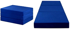 Olee trifold