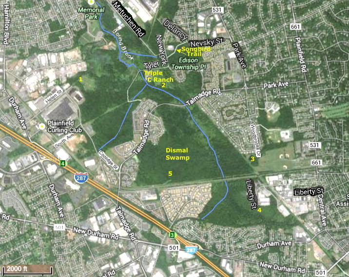 dismal swamp, edison nj